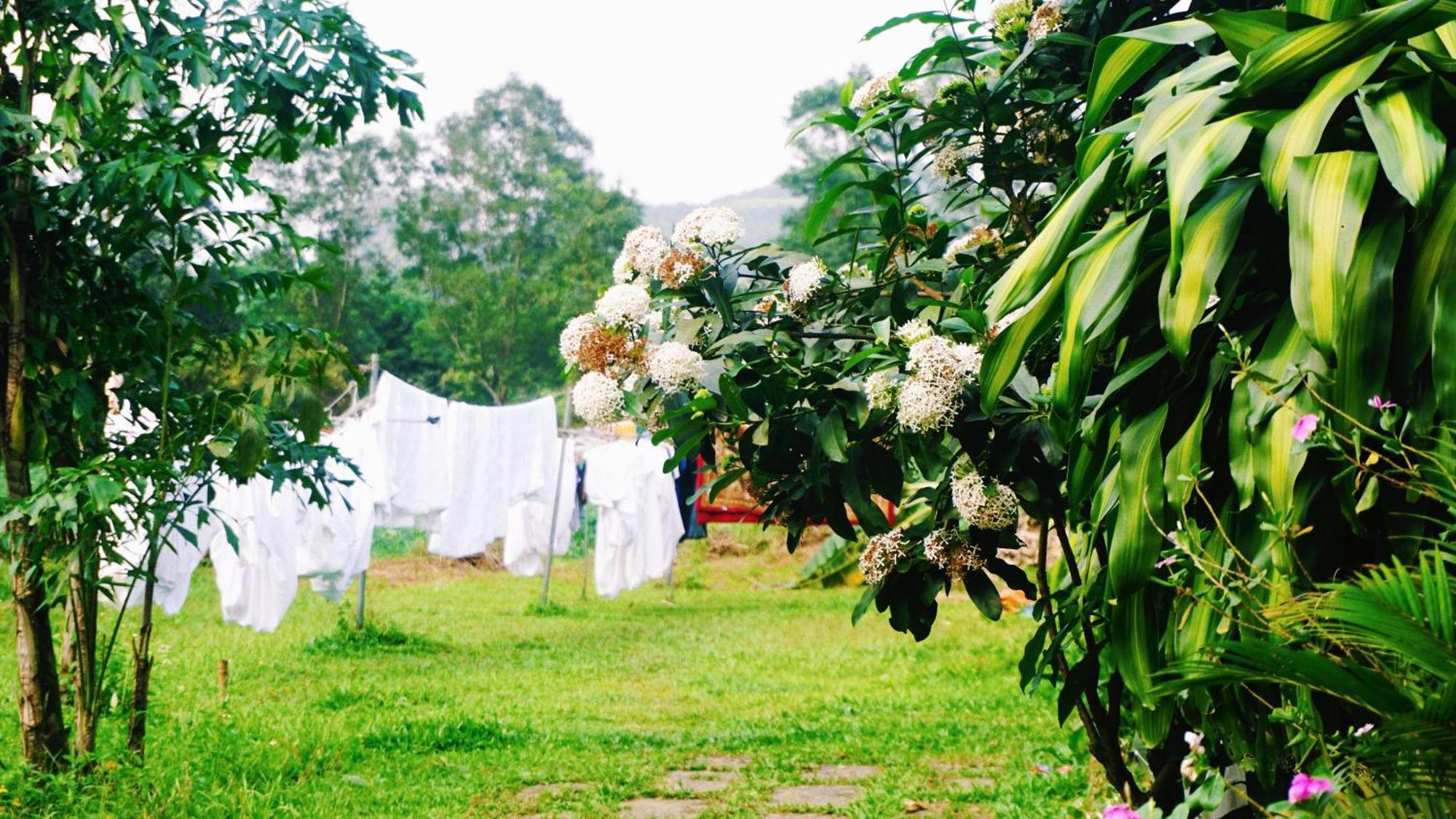 Phong Nha Eco Village 외부 사진