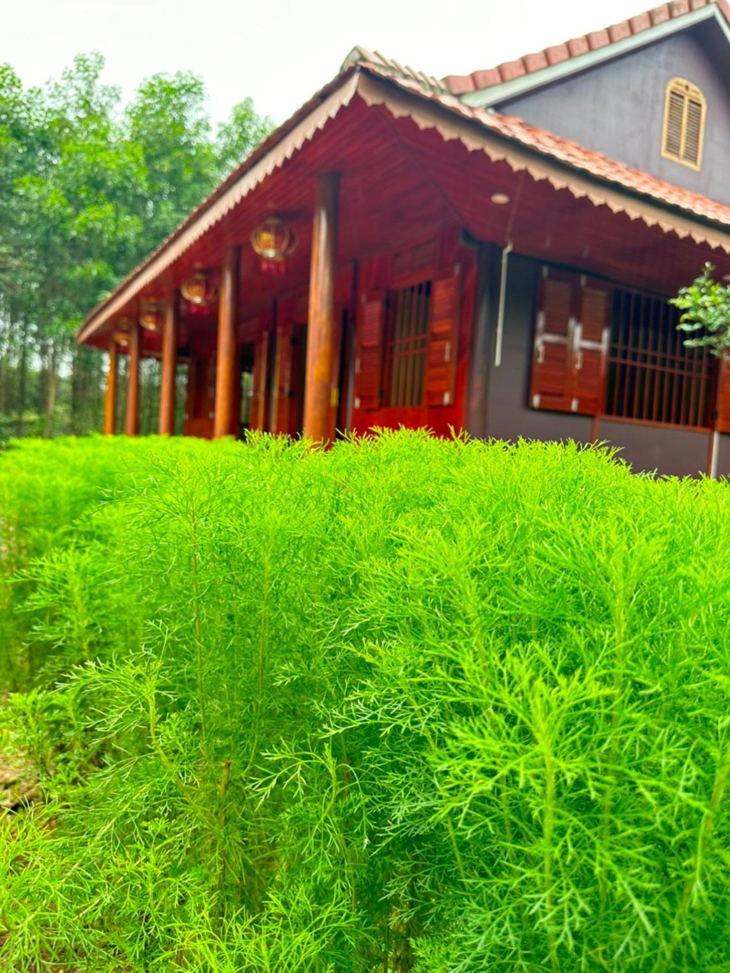 Phong Nha Eco Village 외부 사진