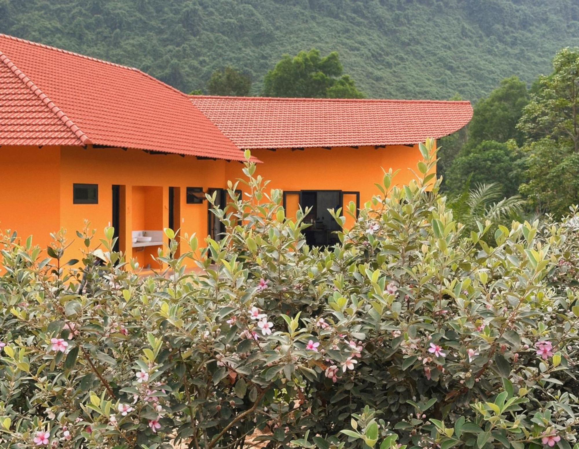 Phong Nha Eco Village 외부 사진