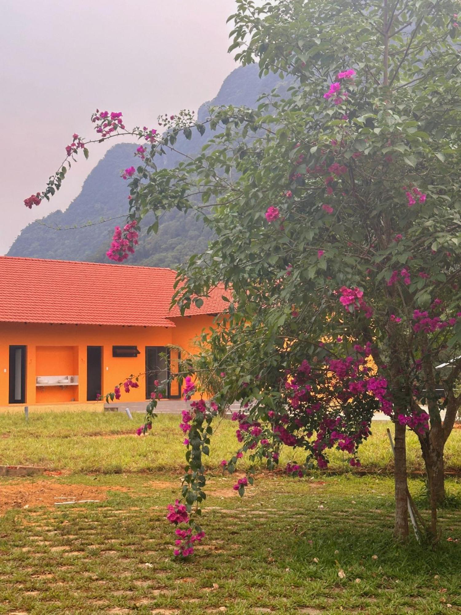 Phong Nha Eco Village 외부 사진
