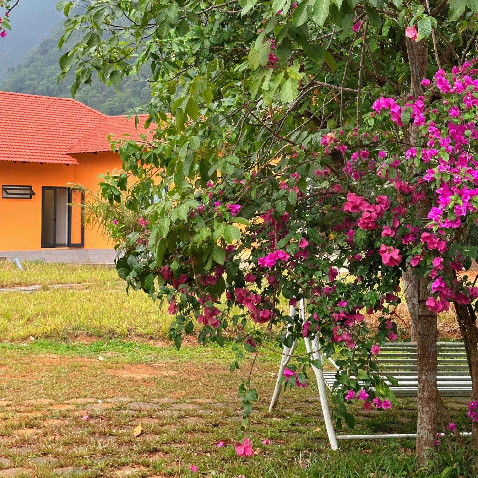 Phong Nha Eco Village 외부 사진